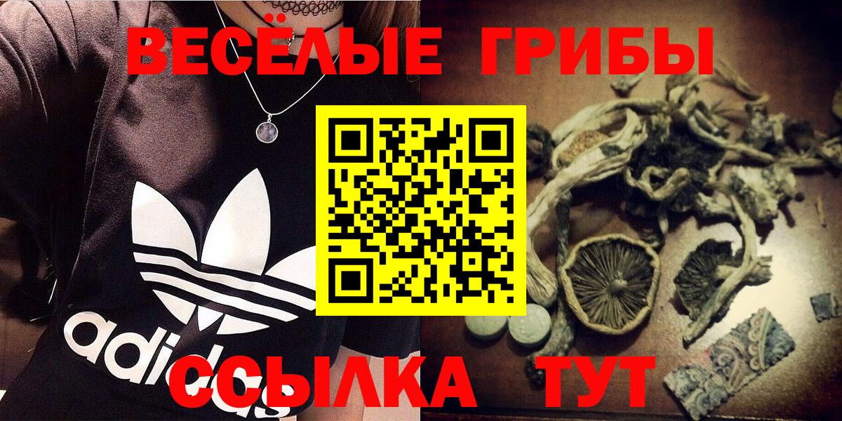 Галлюциногенные грибы Psilocybe  купить закладку  Калуга  Вход с VPN 