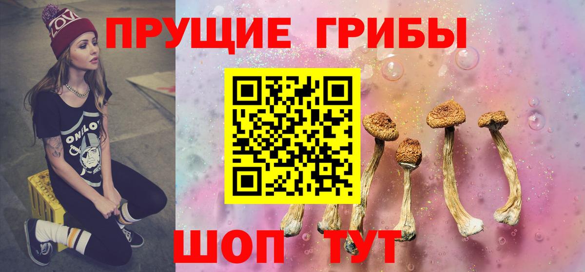 Псилоцибиновые грибы Psilocybe Калуга